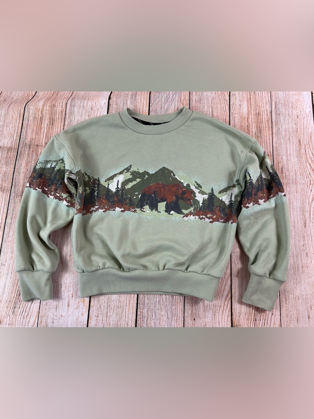 Art Class Green Bear Mountain Graphic Sweatshirt Size Medium 8